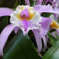 Find Carrie Anita Spaulding Phone Number, Location, Email, and more on Intelius