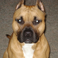 Find Casey R Cothron Phone Number, Location, Email, and more on Intelius