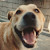 Find Casey Martin Dolan Phone Number, Location, Email, and more on Intelius