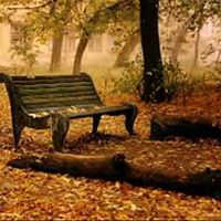 Find Cassandra Lee Moss Phone Number, Location, Email, and more on Intelius