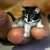 Find Catherine N Ferrell Phone Number, Location, Email, and more on Intelius