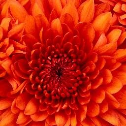 Find Catherine Moss Phone Number, Location, Email, and more on Intelius