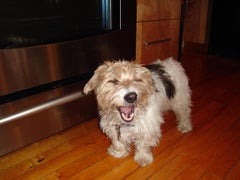 Find Catherine H Sciarratta Phone Number, Location, Email, and more on Intelius