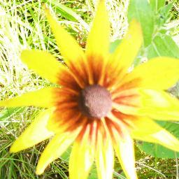 Find Cathy Lamm Driver Phone Number, Location, Email, and more on Intelius