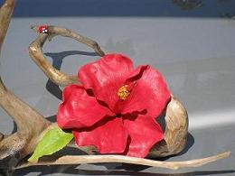 Find Cecile Marie Gelb Phone Number, Location, Email, and more on Intelius