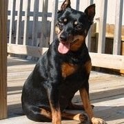 Find Chad David Collins Phone Number, Location, Email, and more on Intelius