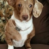 Find Charlene M Freeman Phone Number, Location, Email, and more on Intelius