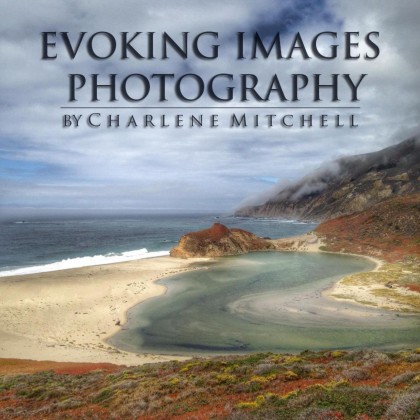 Find Charlene L Mitchell Phone Number, Location, Email, and more on Intelius
