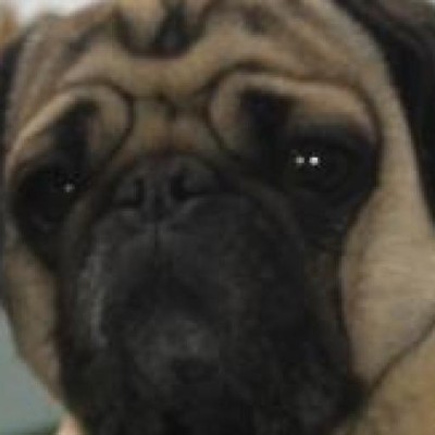Find Charles Edward Mendel Phone Number, Location, Email, and more on Intelius