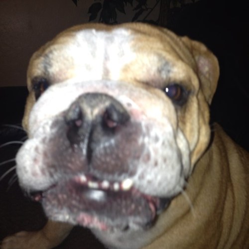 Find Charles Eugene Wise Phone Number, Location, Email, and more on Intelius