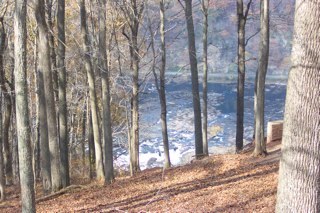Find Cheri Denise Mitchell Phone Number, Location, Email, and more on Intelius