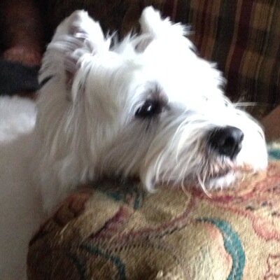 Find Cheri Mae Warren Phone Number, Location, Email, and more on Intelius