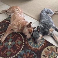 Find Cheryl Lee Mccaw Phone Number, Location, Email, and more on Intelius