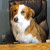 Find Chris A Olson Phone Number, Location, Email, and more on Intelius
