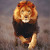 Find Christ A Basile Phone Number, Location, Email, and more on Intelius