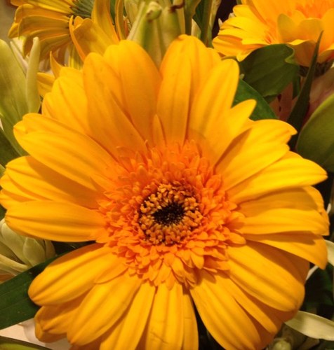 Find Christa M Spears Phone Number, Location, Email, and more on Intelius