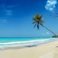 Find Christine L Hostetter Phone Number, Location, Email, and more on Intelius