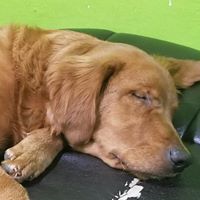 Find Christopher Dale Blemaster Phone Number, Location, Email, and more on Intelius