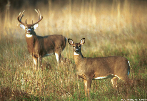 Find Christopher A Cook Phone Number, Location, Email, and more on Intelius