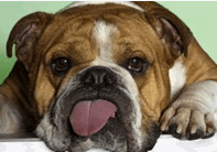 Find Christopher Jason Dewey Phone Number, Location, Email, and more on Intelius