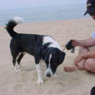 Find Christopher Hubert Dill Phone Number, Location, Email, and more on Intelius