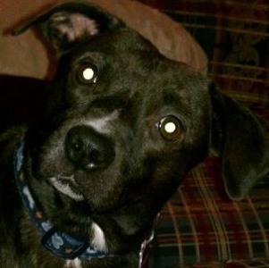 Find Christopher Wayne Johnson Phone Number, Location, Email, and more on Intelius