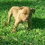 Find Christopher A Lilley Phone Number, Location, Email, and more on Intelius