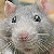 Find Christopher A Pierson Phone Number, Location, Email, and more on Intelius
