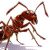 Find Christopher Michael Powell Phone Number, Location, Email, and more on Intelius