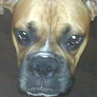 Find Christopher Bruce Smith Phone Number, Location, Email, and more on Intelius
