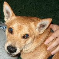 Find Cindy Kae Brown Phone Number, Location, Email, and more on Intelius
