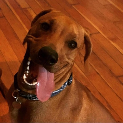 Find Clark C Roberts Phone Number, Location, Email, and more on Intelius
