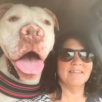 Find Colleen Elizabeth Thayne Phone Number, Location, Email, and more on Intelius