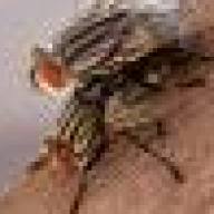 Find Cory David Wiegert Phone Number, Location, Email, and more on Intelius