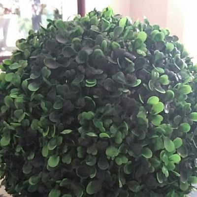 Find Creola Nanette James Phone Number, Location, Email, and more on Intelius