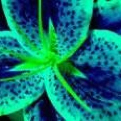 Find Crystal Michelle Brown Phone Number, Location, Email, and more on Intelius