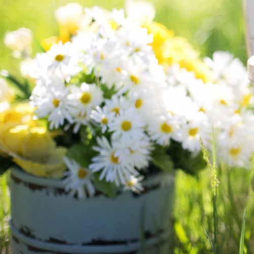 Find Crystal Dawn Wright Phone Number, Location, Email, and more on Intelius