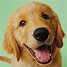 Find Curtis O Holte Phone Number, Location, Email, and more on Intelius