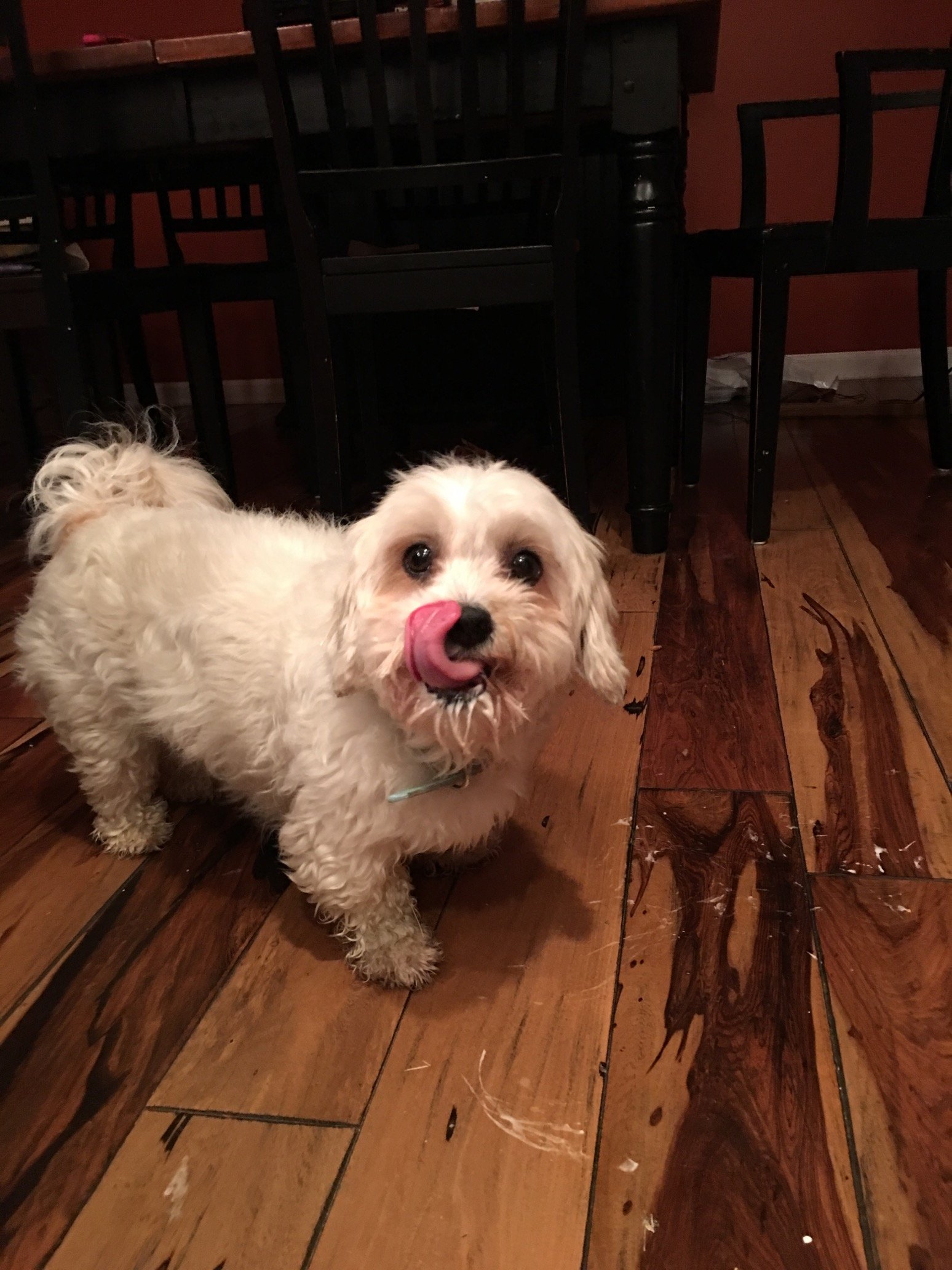 Find Cynthia Kaye Godwin Phone Number, Location, Email, and more on Intelius