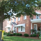 Find Daisy B Flowers Phone Number, Location, Email, and more on Intelius
