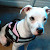 Find Daisy i Mercado Phone Number, Location, Email, and more on Intelius