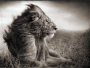 Find Daniel W Bellows Phone Number, Location, Email, and more on Intelius