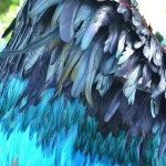 Find Daniel C Brown Phone Number, Location, Email, and more on Intelius