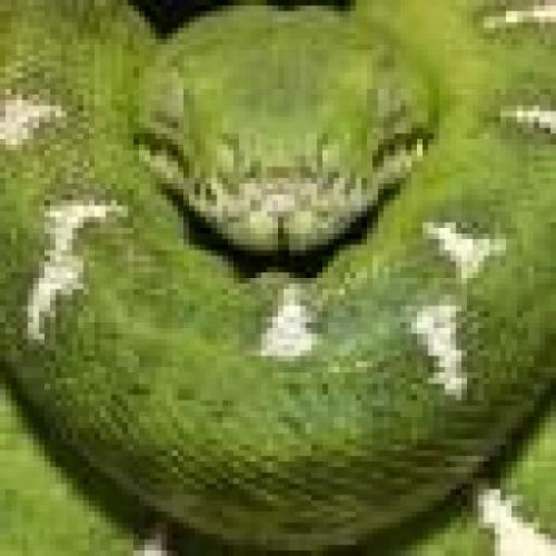 Find Daniel Mendez Cruz Phone Number, Location, Email, and more on Intelius