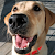 Find Daniel William Fox Phone Number, Location, Email, and more on Intelius