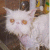 Find Daniel B Mcnamara Phone Number, Location, Email, and more on Intelius