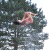 Find Daniel Thomas Murphy Phone Number, Location, Email, and more on Intelius