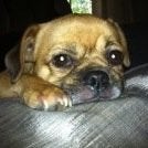 Find Daniel Joseph Ray Phone Number, Location, Email, and more on Intelius