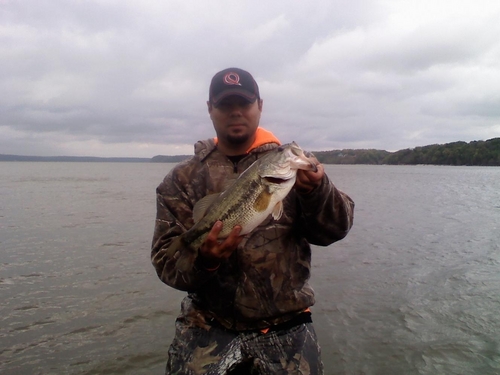 Find Daniel Reyes Phone Number, Location, Email, and more on Intelius