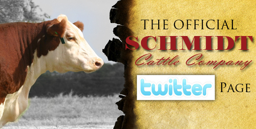 Find Daniel James Schmidt Phone Number, Location, Email, and more on Intelius